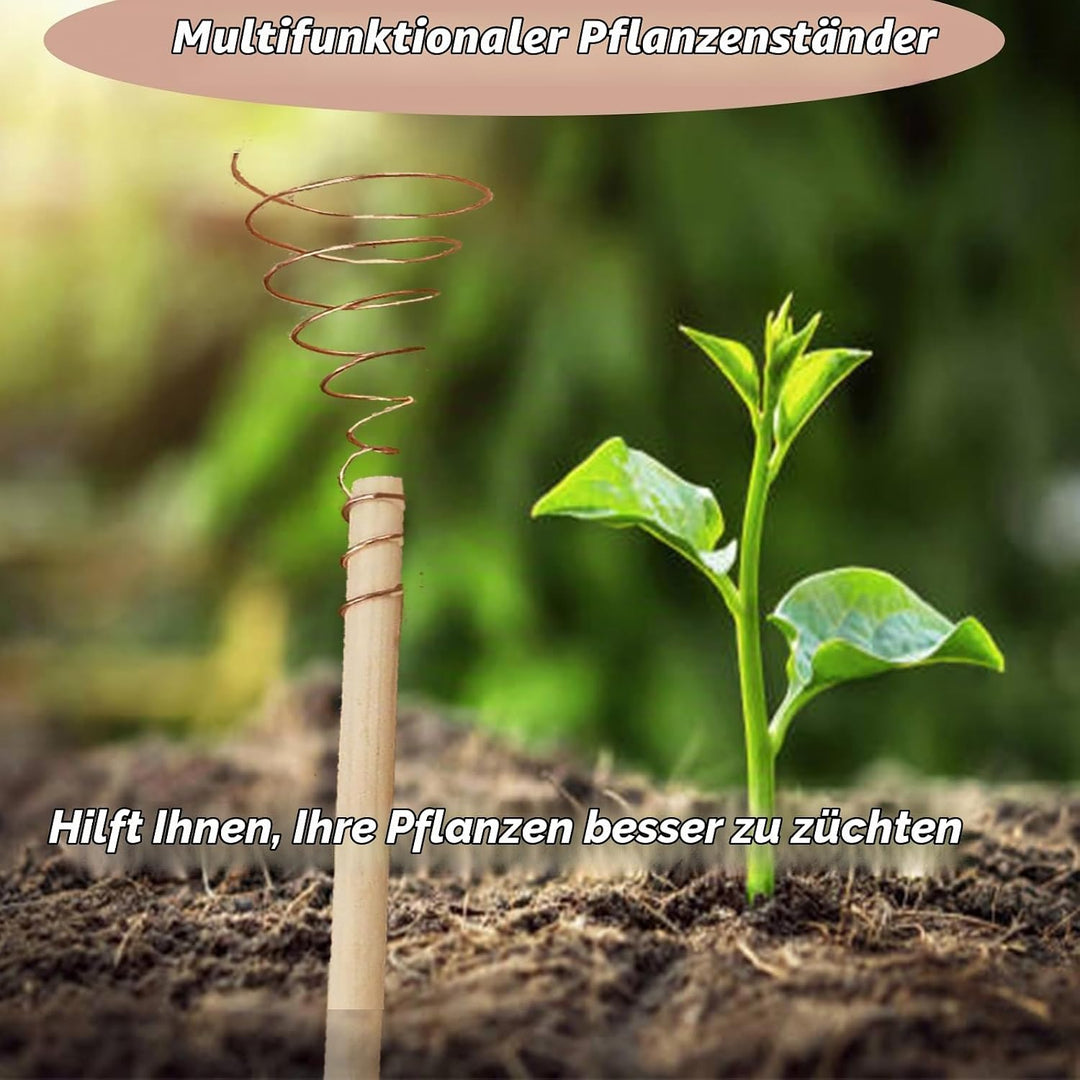 Kupferdraht Für Elektrokultur Gartenarbeit, 16 Gauge Gardening Reiner Kupferdraht 2.5m Und 6 Pflanze
