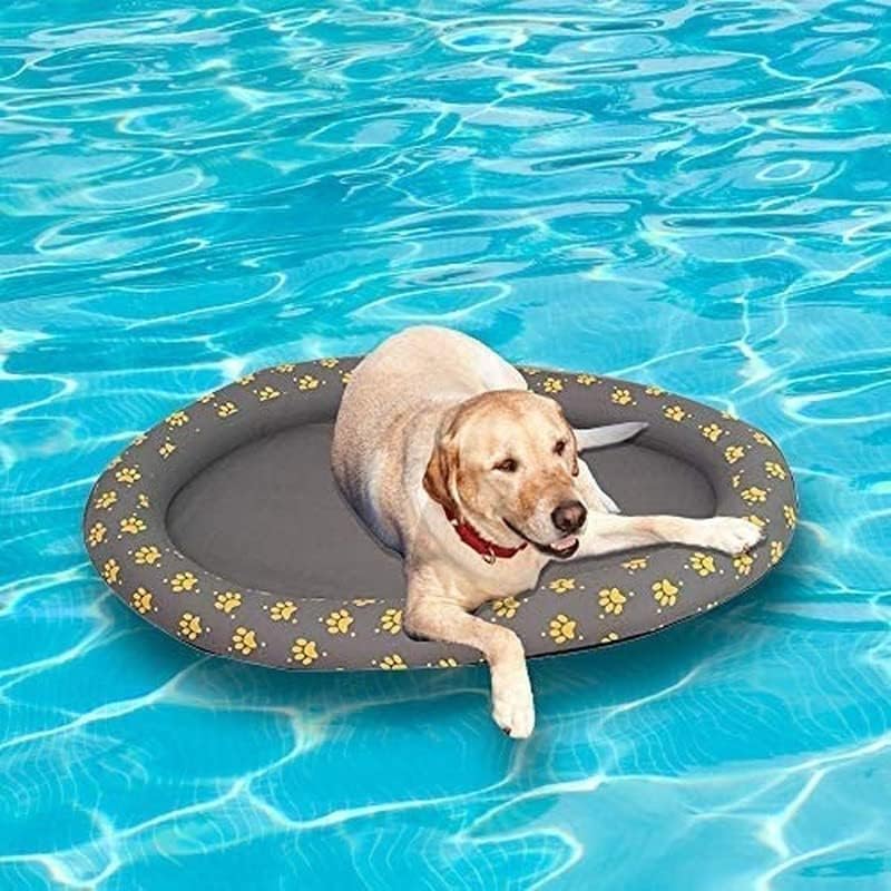 Ginkago Aufblasbar Schlauchboot Hunde Boot Haustier Luftmatratze Schwimmbad Strand Spielzeug Haustie