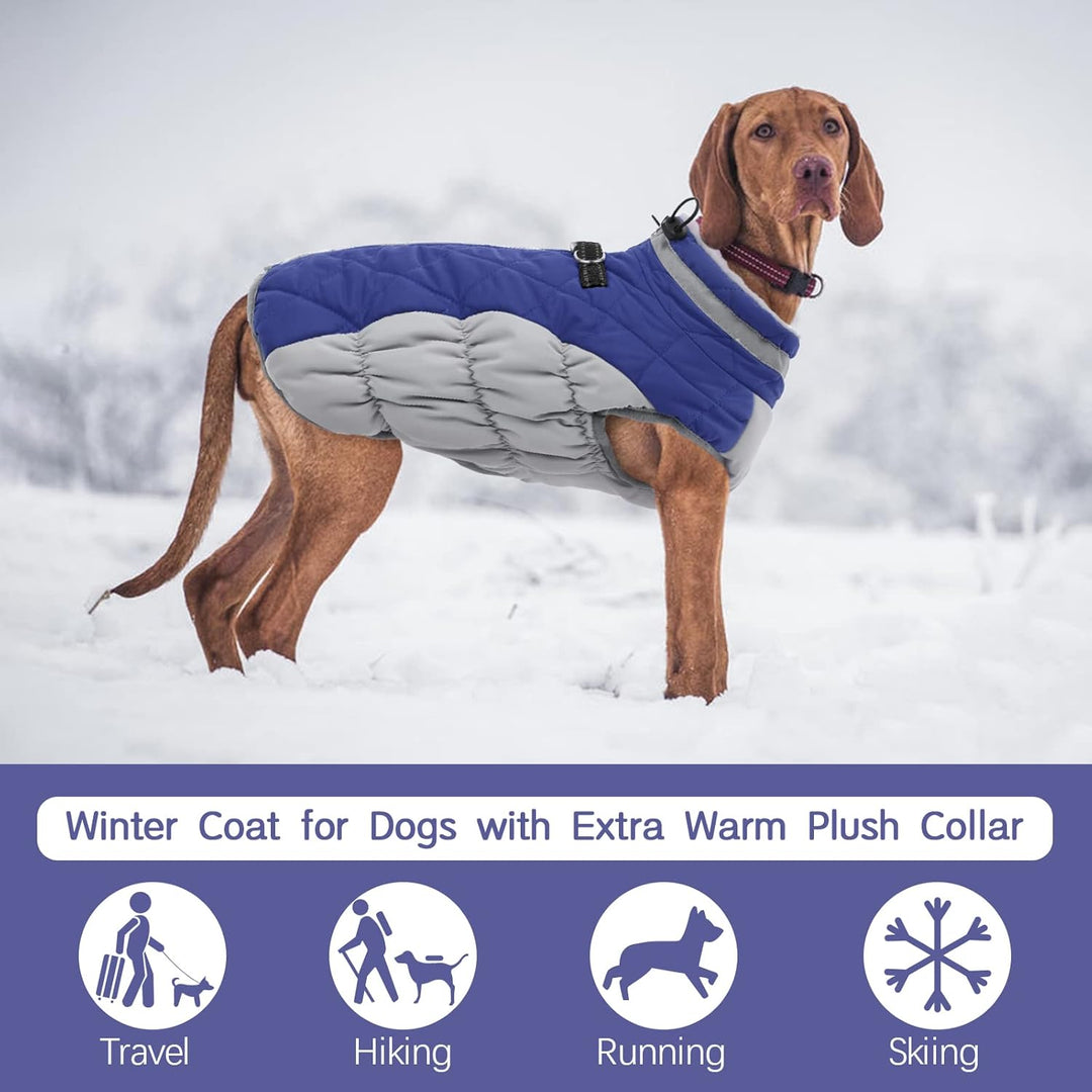 Kuoser Hundejacke Wintermantel für Mittelgrosse Hunde - Wasserdichte Winterweste Mit Geschirr - Warm