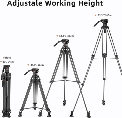 Cayer BV25LH Videostativsystem, 74-Zoll-Carbon-Profi-Hochleistungskamera-Stativsatz, Doppelrohr-Stat