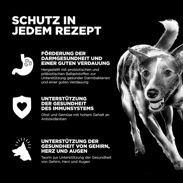Go! Solutions Skin + Coat Care Getreidehaltige Rezeptur für Hunde Lachs, 1,6-kg-Beutel