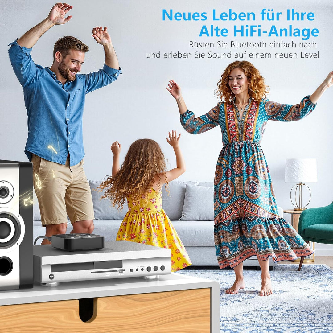 1Mii Bluetooth Receiver for Old Stereo System Schwarz, Schwarz