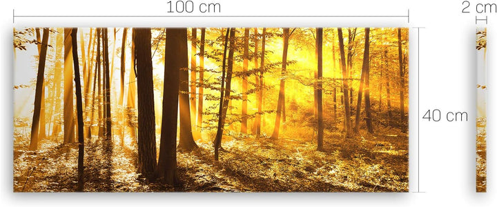 ge Bildet Bild auf Leinwand | Landschaftsbilder - beautiful morning in the forest G in 100x40 cm als