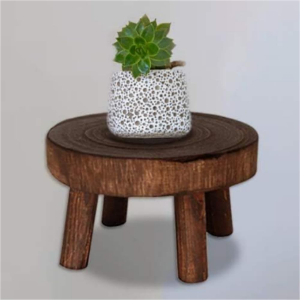2 Stk Dekorativer Pflanzenständer aus Holz, Mini Multifunktionaler Blumentopfhalter für Heimdekorati