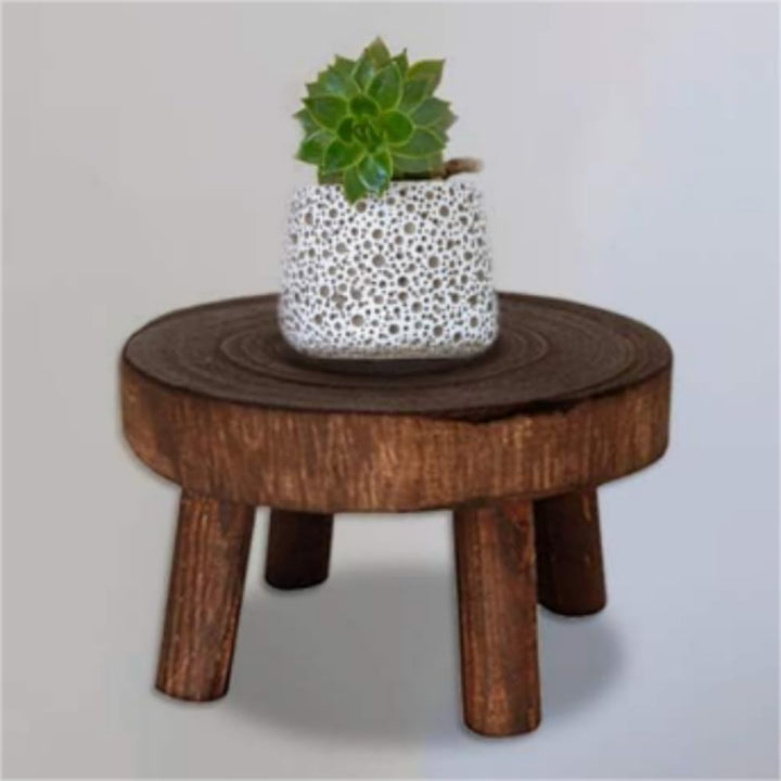 2 Stk Dekorativer Pflanzenständer aus Holz, Mini Multifunktionaler Blumentopfhalter für Heimdekorati