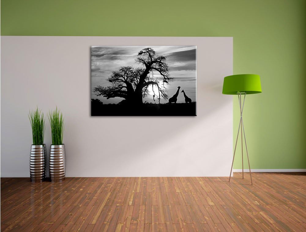 Pixxprint Zwei Giraffen in der Wüste als Leinwandbild/Grösse: 100x70 cm/Wandbild/Kunstdruck/fertig b