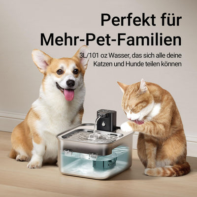 DownyPaws Katzenbrunnen Edelstahl Kabellos, Trinkbrunnen für Katze Edelstahl mit Bewegungsmelder und