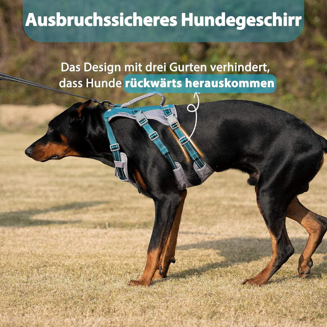 Huntboo Sicherheitsgeschirr Hund Ausbruchsicher, Panikgeschirr für Hunde, Reflektierendes Geschirr H