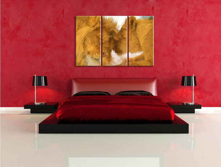Pixxprint Kuschelnde Löwen Bunstift Effekt 3-Teiler Leinwandbild 120x80 Bild auf Leinwand