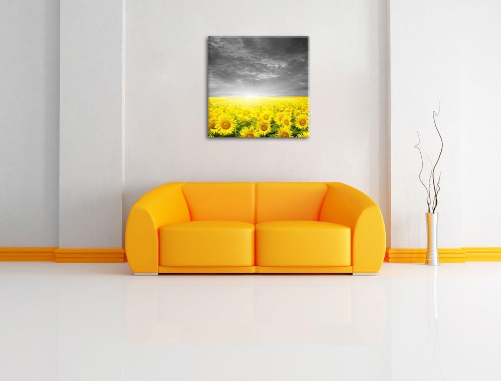 Pixxprint Sonnenblumen Sonnenuntergang als Leinwandbild/Grösse: 70x70 cm/Wandbild/Kunstdruck/fertig