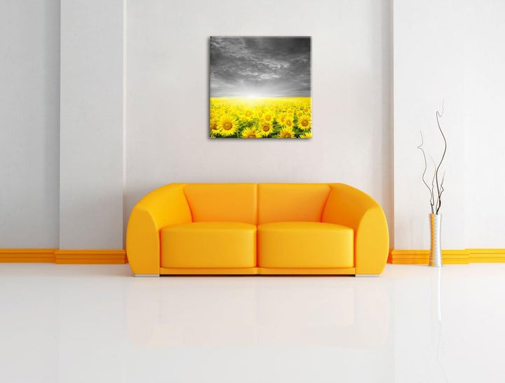 Pixxprint Sonnenblumen Sonnenuntergang als Leinwandbild/Grösse: 70x70 cm/Wandbild/Kunstdruck/fertig