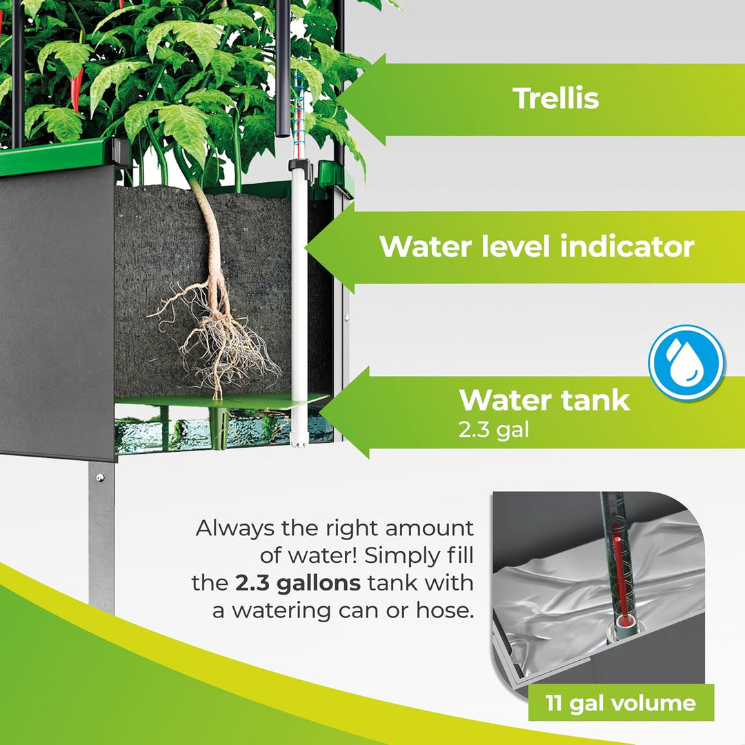 Bio Green Metall-Hochbeet City Jungle Heidelberg für Innen und Aussen | Bewässerungssystem und Rankg