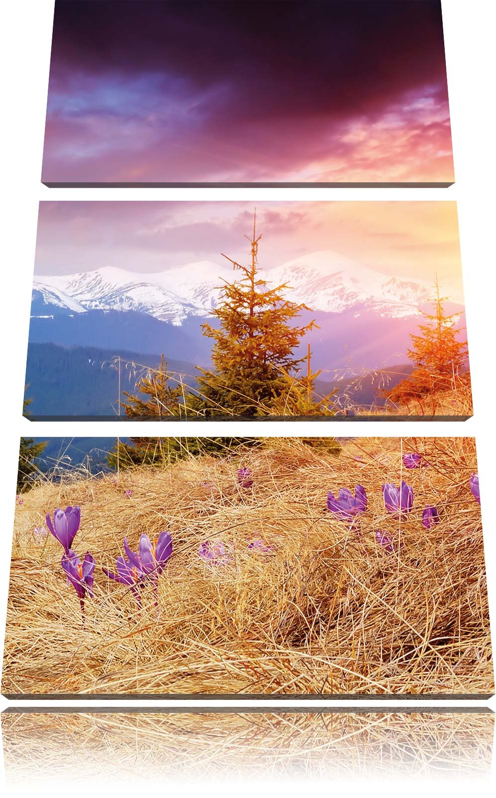 Pixxprint Krokusse auf Hochalmwiese in Alpen 3-Teiler Leinwandbild 120x80 Bild auf Leinwand