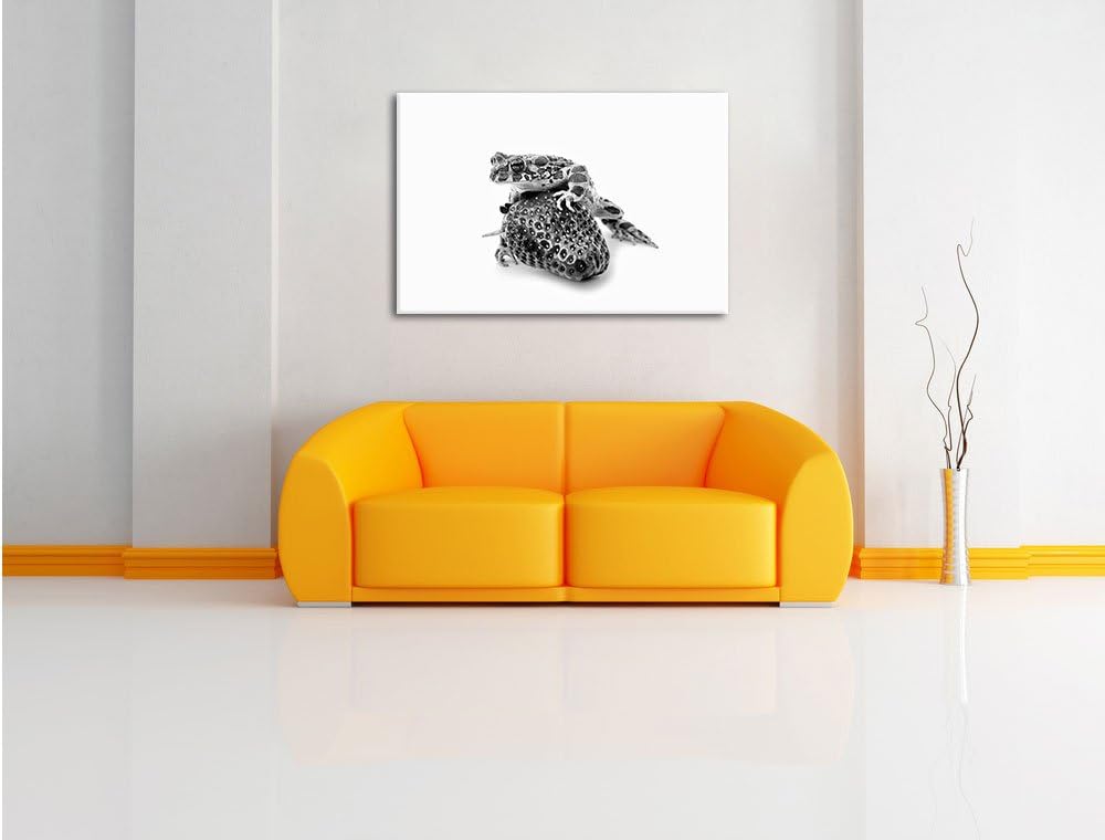 Pixxprint Glas Erdbeere Frosch / 100x70cm Leinwandbild bespannt auf Holzrahmen/Wandbild Kunstdruck D