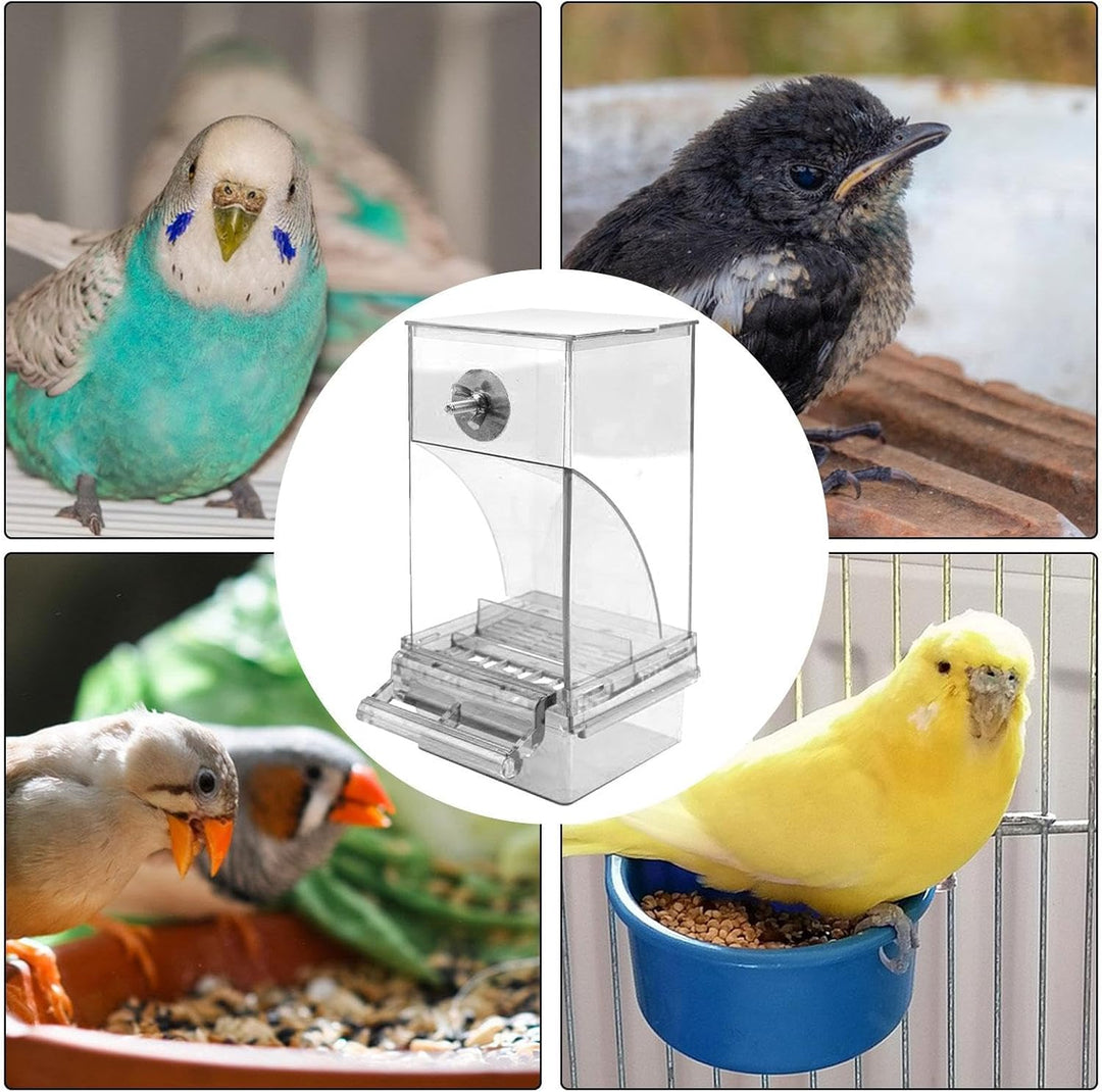 Vogelfutterspender Transparenter grosser Acryl-Futterbehälter | Automatischer Vogel-Futterbehälter F