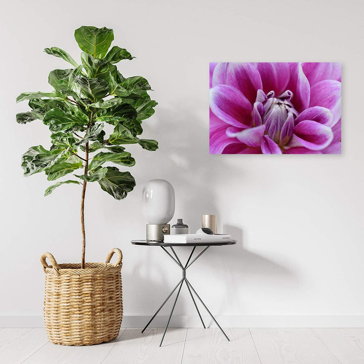 Feeby Bild auf Leinwand Natur Kunstdruck modern Pflanze Violett 80x60 cm Leinwandbild 80x60 cm Viole
