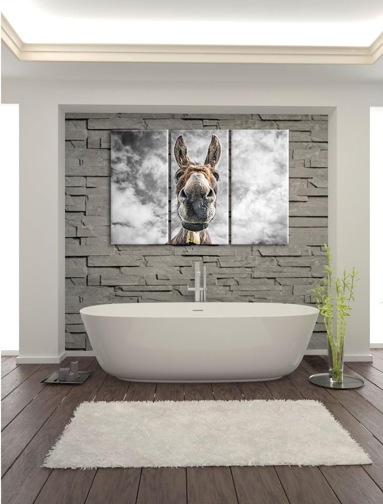 Pixxprint Lustiger Esel als Leinwandbild | Grösse: 3 Teilig (120x80) | Wandbild| Kunstdruck | fertig
