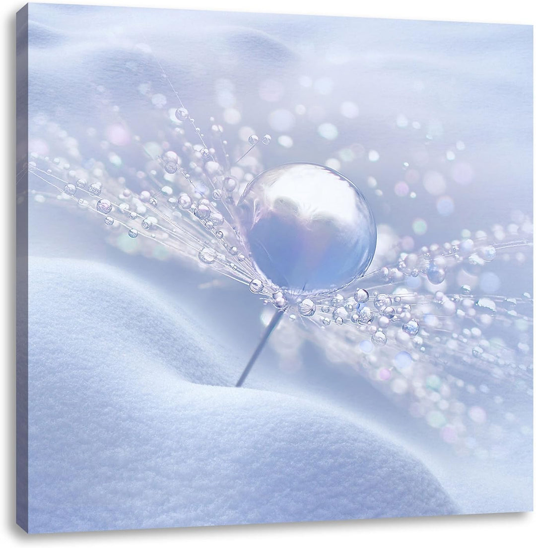 Pixxprint Tautropfen auf Pusteblume als Leinwandbild Quadratisch/Grösse: 70x70 / Wandbild/Kunstdruck