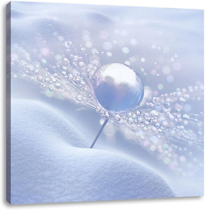 Pixxprint Tautropfen auf Pusteblume als Leinwandbild Quadratisch/Grösse: 70x70 / Wandbild/Kunstdruck