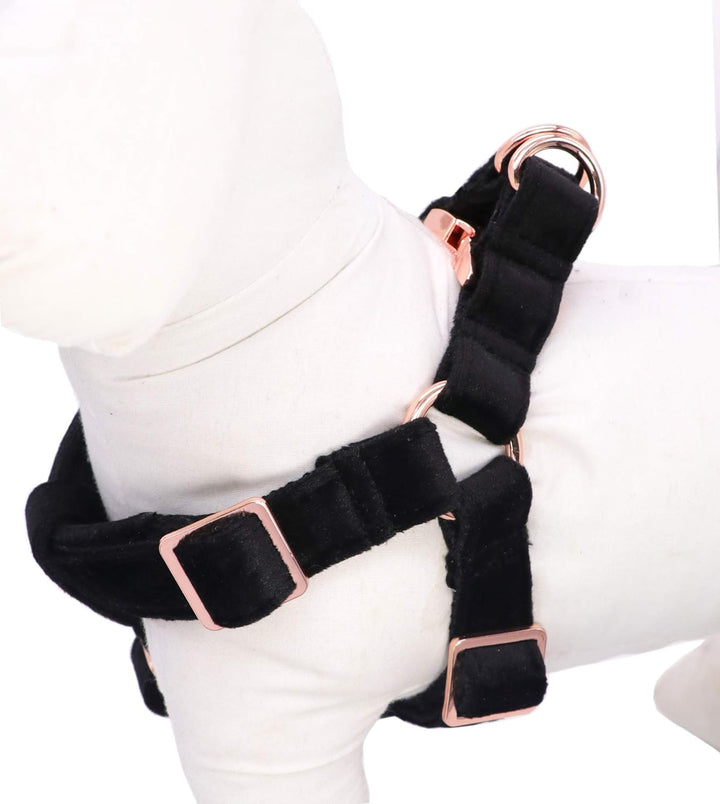 ARING PET Hunde-Halftergeschirr, Samt-Hundegeschirr, verstellbar, strapazierfähig, für Jungen und Mä