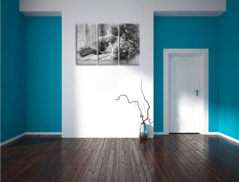 Pixxprint verspielter Kleiner Löwe Kunst / 3-Teilig/Gesamtmass 120cm Leinwandbild bespannt auf Holzr