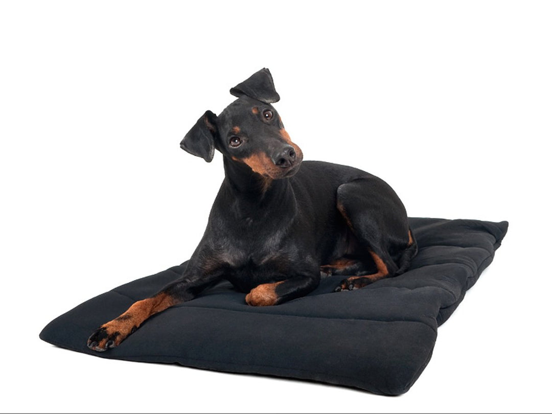 Animo Connect Mini-Decke für Hunde
