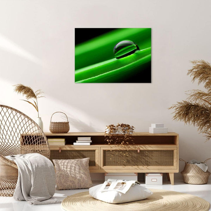 Bilder auf Leinwand Pflanze Tropfen Wasser Blase Leinwandbild 70x50cm Wandbilder Dekoration Wohnzimm