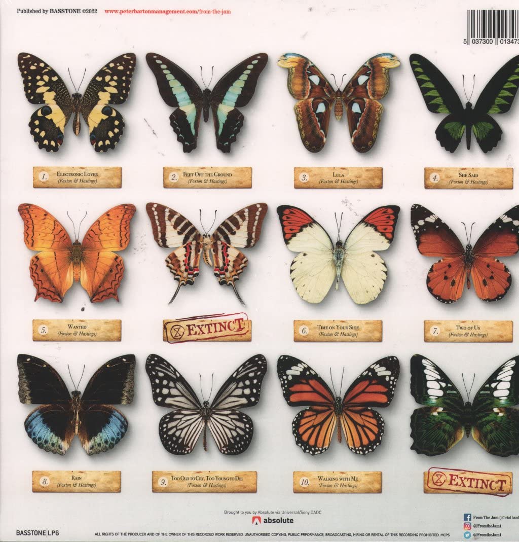 Butterfly Effect, Vinyl