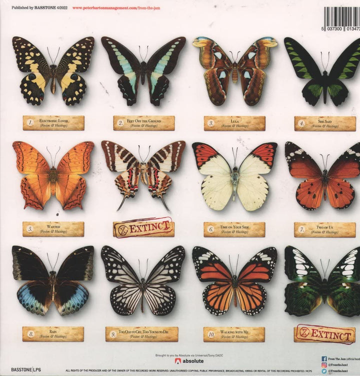 Butterfly Effect, Vinyl