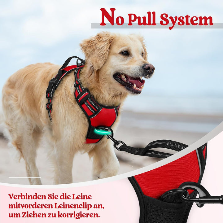 rabbitgoo Hundegeschirr Mittelgrosse Hunde, Anti Zug Geschirr mit Kontrolle, No Pull Verstellbar Hun