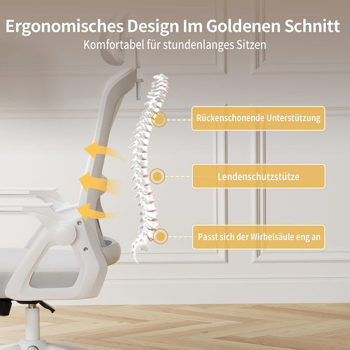 naspaluro Ergonomischer Bürostuhl, Schreibtischstuhl für Homeoffice | Mit Lordosenstütze & verstellb