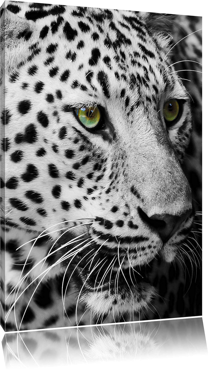 Pixxprint Dark Leopard mit grünen Augen als Leinwandbild/Grösse: 100x70 / Wandbild/Kunstdruck/fertig
