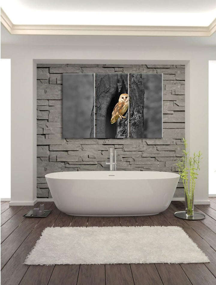 Pixxprint Schleiereule Baumhöhle / 3-Teilig/Gesamtmass 120cm Leinwandbild bespannt auf Holzrahmen/Wa
