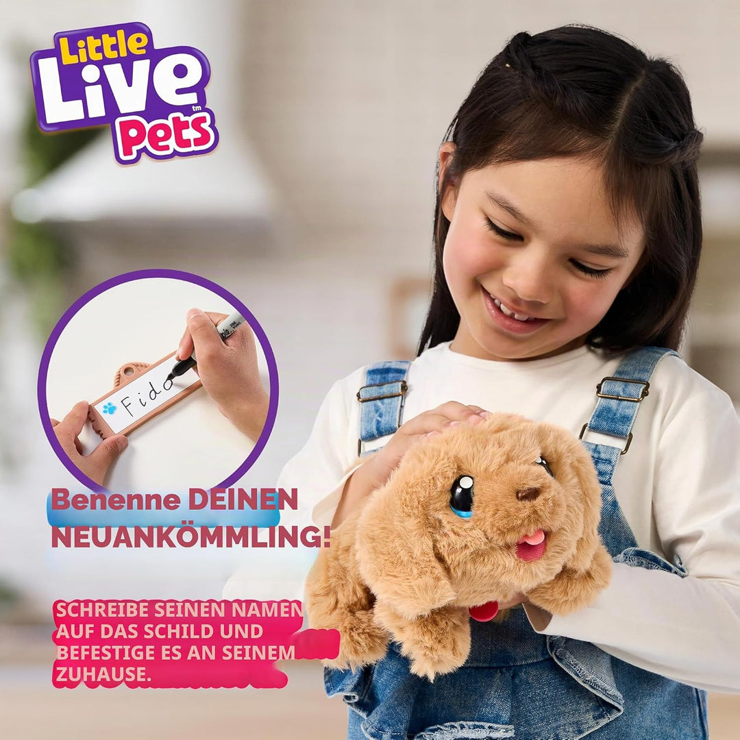 Little Live Pets – My Puppy's Home: interaktiver Hund mit DIY-Hundehütte zum Selbstaufbauen und span