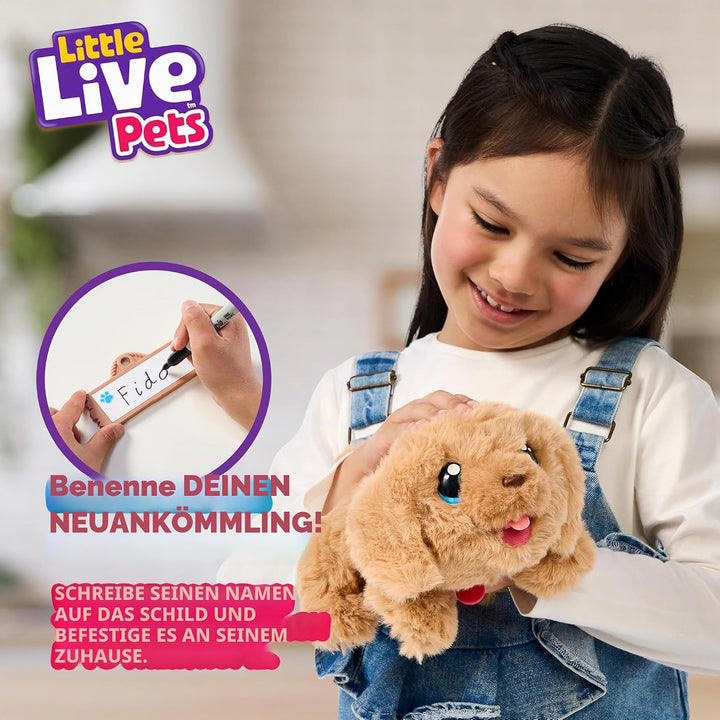 Little Live Pets – My Puppy's Home: interaktiver Hund mit DIY-Hundehütte zum Selbstaufbauen und span