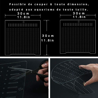 BEGONDIS Trennwande für Aquarien für Mischzucht aus PET/PETP, Aquarium Fish Tank Divider. 3030, 3030