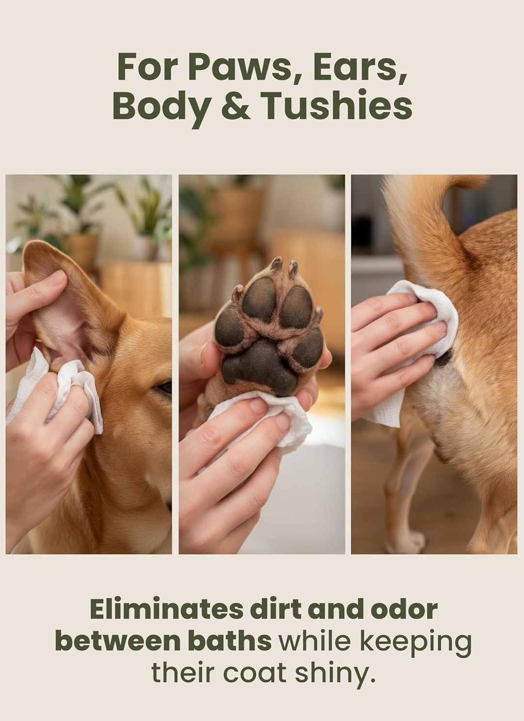 Pogi's Pflegetücher - 400 desodorierende Abwischtücher für Hunde – extragross, biologisch abbaubar,