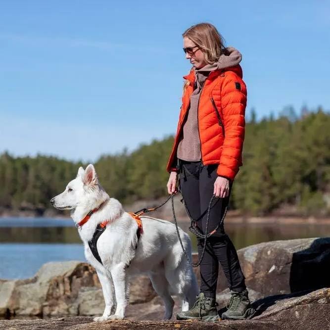 Non-stop dogwear Rock Leash | stabile Seil-Leine zum Wandern oder Gassigehen