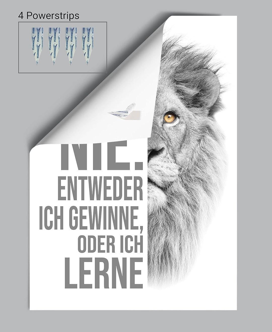 wandmotiv24 Poster als Wanddeko, Grösse Din A0, ich verliere nie, Weiss, Löwe, Moderne Wanddeko, Wan