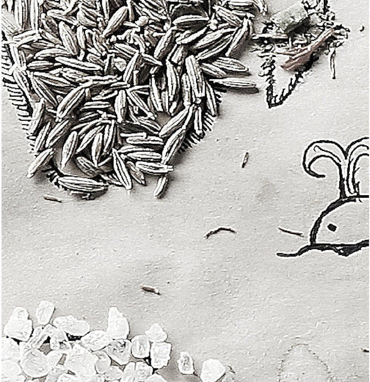 Runa Art Wandbilder Küche Gewürze 5 Teilig Bild auf Vlies Leinwand Deko Esszimmer Küchenbilder Küche