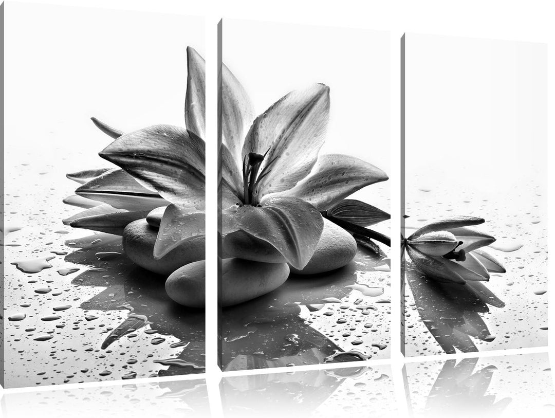 Pixxprint Monocrome, Düstere Lilie mit Zen Steinen 3-Teiler Leinwandbild 120x80 Bild auf Leinwand