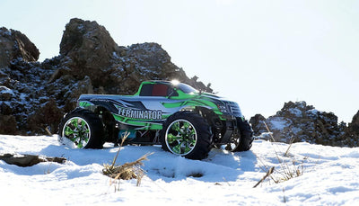 Amewi 22315 Terminator Pro Monstertruck brushless 4WD 1:10, RTR, grün