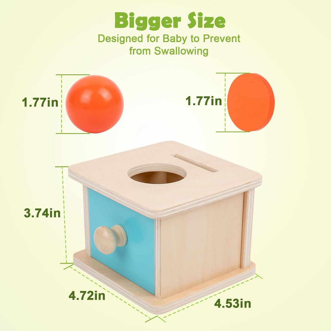 Adena Montessori Spielzeug ab 6 Monate – 2-in-1 Holz Münzbox & Ballbox für Babys – Lernspielzeug zur