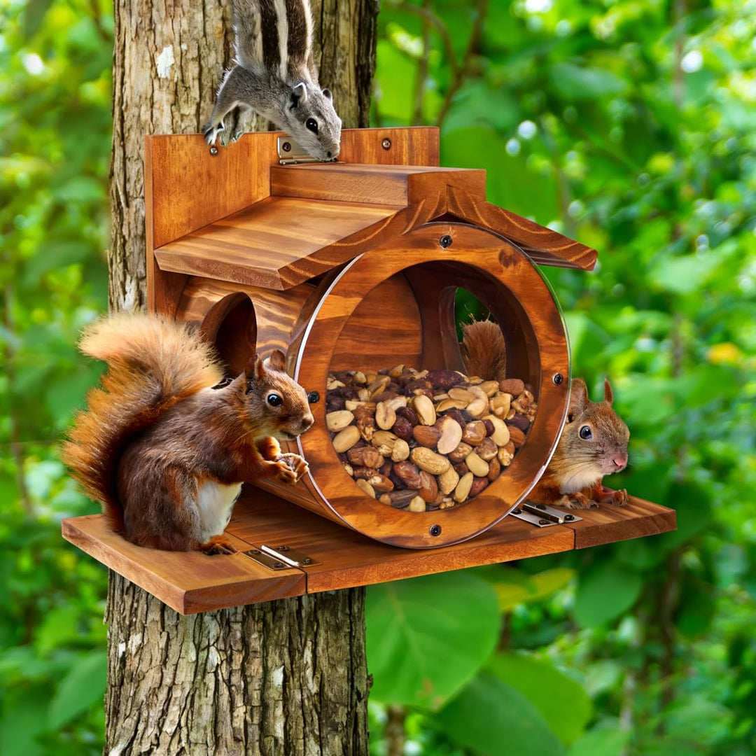 Eichhörnchen Futterhaus Wetterfes mit Runden Transparentes, Futterstationen für Eichhörnchen, 2 Eing