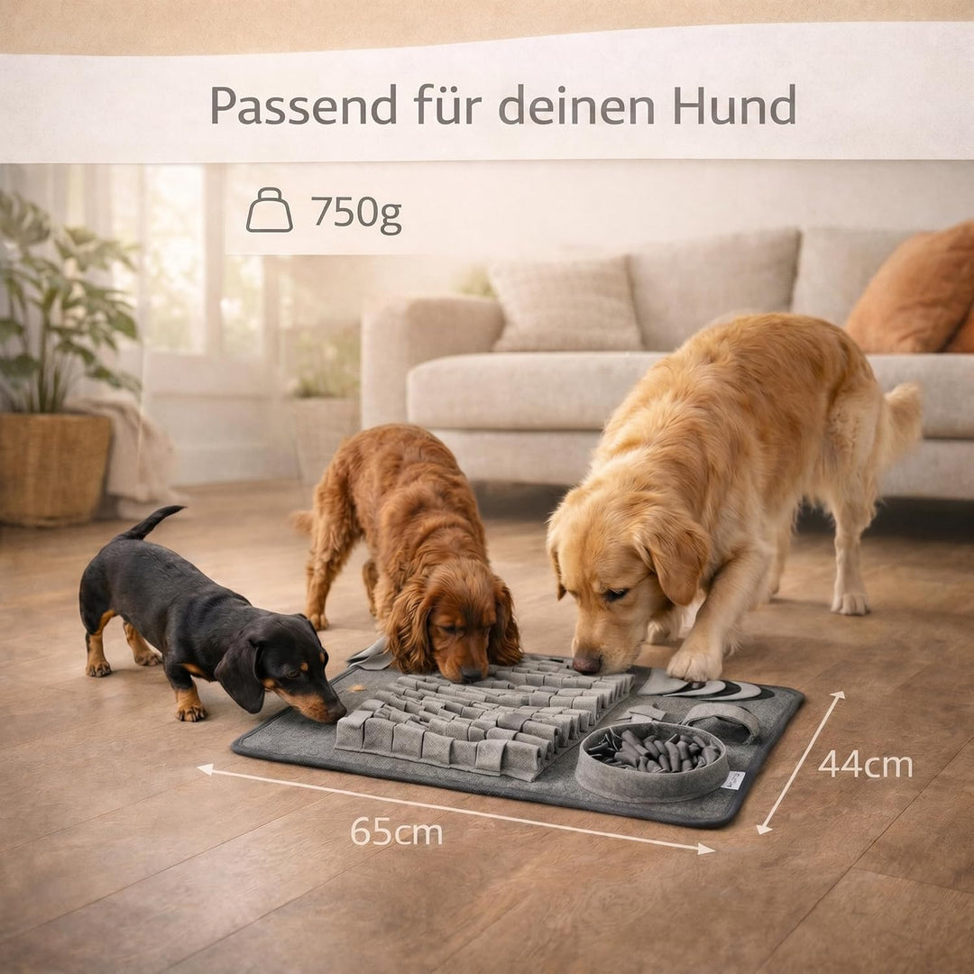 Schnüffelteppich für Hunde - Explore - NEU - Vielfältige Schnüffelmatte mit 3 Schwierigkeitslevel -
