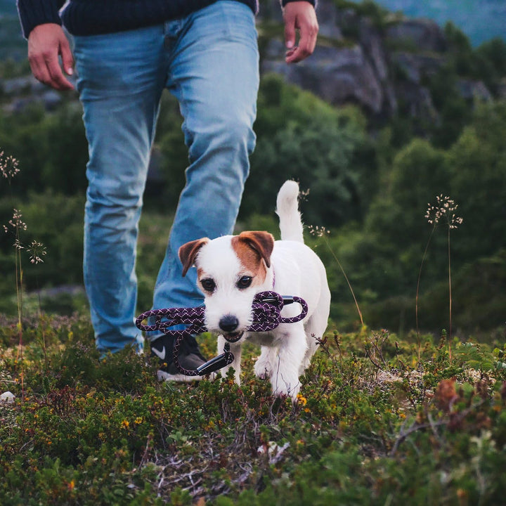 Hurtta Casual Rope Hunde Leine, Lingon/River, 1/3 in x 6 ft Lingon/River 1/3 in x 6 ft, Lingon/River