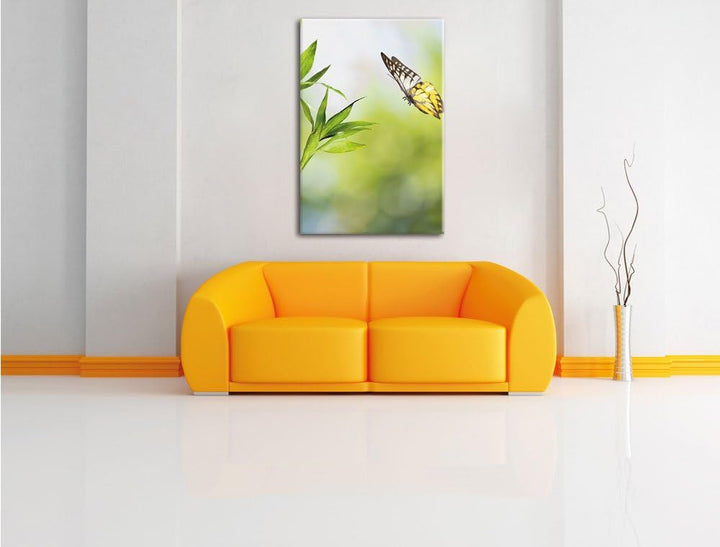 Bambus mit Schmetterling , Format: 80x120 auf hochkantiges Leinwand, XXL riesige Bilder fertig gerah