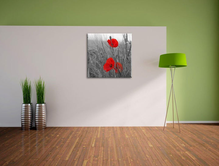 Pixxprint Mohnblumen im Getreidefeld als Leinwandbild/Grösse: 70x70 cm/Wandbild/Kunstdruck/fertig be