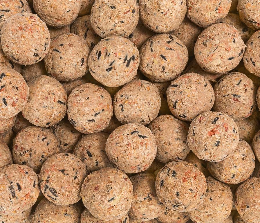 Dehner Natura Premium Meisenknödel ohne Netz, Beerenknödel, ganzjähriges Wildvogelfutter proteinreic