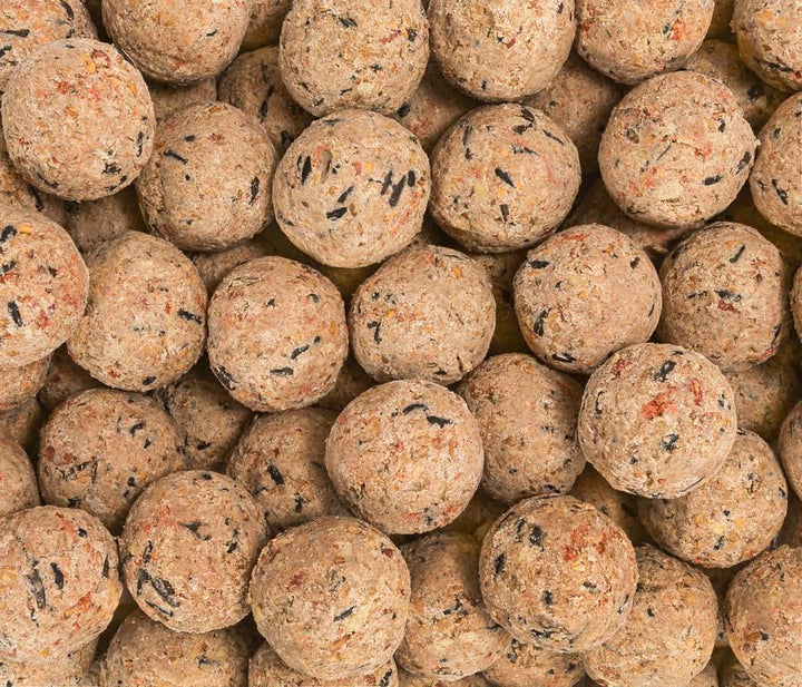 Dehner Natura Premium Meisenknödel ohne Netz, Beerenknödel, ganzjähriges Wildvogelfutter proteinreic